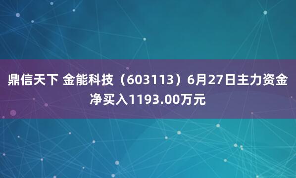 鼎信天下 金能科技（603113）6月27日主力资金净买入1193.00万元
