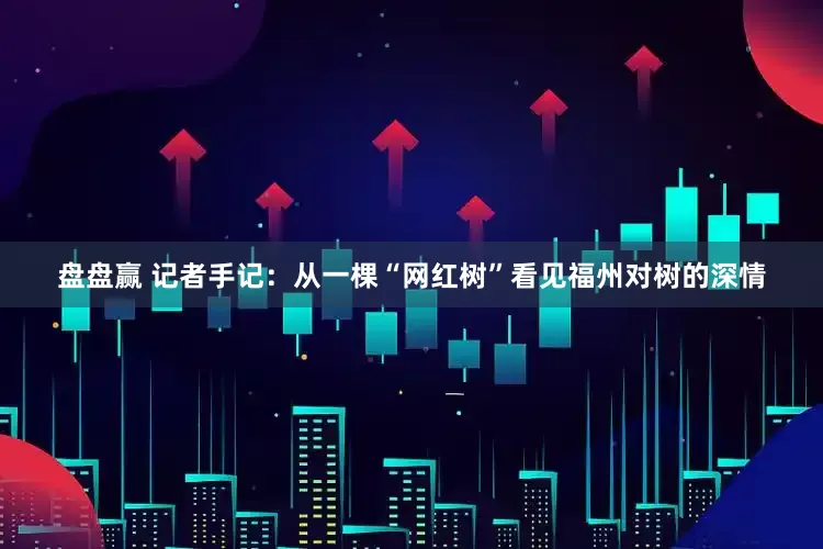 盘盘赢 记者手记：从一棵“网红树”看见福州对树的深情