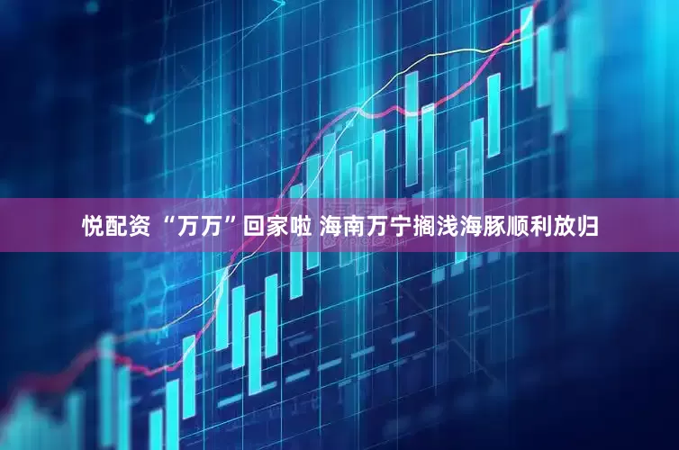 悦配资 “万万”回家啦 海南万宁搁浅海豚顺利放归