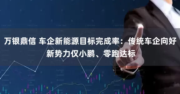 万银鼎信 车企新能源目标完成率：传统车企向好 新势力仅小鹏、零跑达标