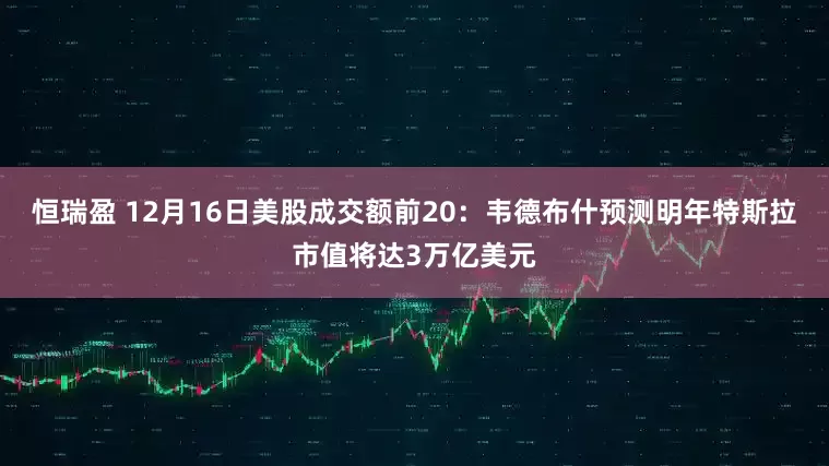 恒瑞盈 12月16日美股成交额前20：韦德布什预测明年特斯拉市值将达3万亿美元